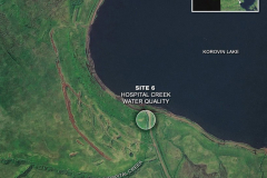 Site 6: Hospital Creek Water Quality